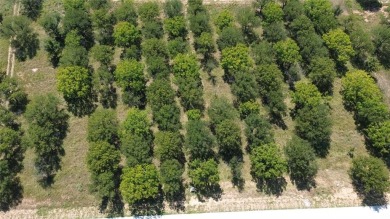 This rare, heavily wooded 1+ acre lot is one of the last on Pecan Plantation Country Club in Texas - for sale on GolfHomes.com, golf home, golf lot
