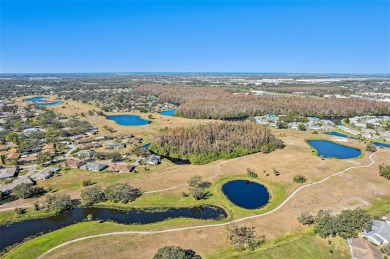 PRICE REDUCTION. Welcome Home! This home in the gated section of on Falcon Watch Golf Club in Florida - for sale on GolfHomes.com, golf home, golf lot