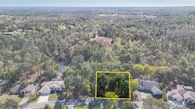 Build your dream home on this beautiful vacant lot in Sugar Mill on Sugarmill Woods Golf and Country Club in Florida - for sale on GolfHomes.com, golf home, golf lot