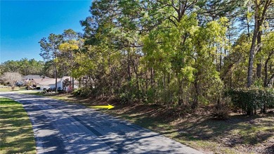 Build your dream home on this beautiful vacant lot in Sugar Mill on Sugarmill Woods Golf and Country Club in Florida - for sale on GolfHomes.com, golf home, golf lot