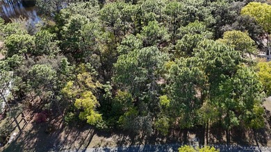 Build your dream home on this beautiful vacant lot in Sugar Mill on Sugarmill Woods Golf and Country Club in Florida - for sale on GolfHomes.com, golf home, golf lot