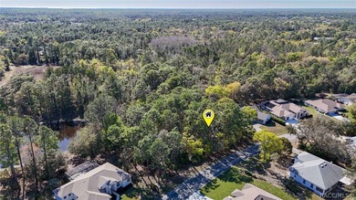 Build your dream home on this beautiful vacant lot in Sugar Mill on Sugarmill Woods Golf and Country Club in Florida - for sale on GolfHomes.com, golf home, golf lot