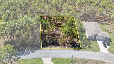 Build your dream home on this beautiful vacant lot in Sugar Mill on Sugarmill Woods Golf and Country Club in Florida - for sale on GolfHomes.com, golf home, golf lot