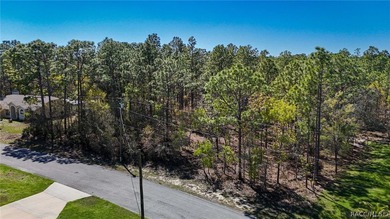 Build your dream home on this beautiful vacant lot in Sugar Mill on Sugarmill Woods Golf and Country Club in Florida - for sale on GolfHomes.com, golf home, golf lot