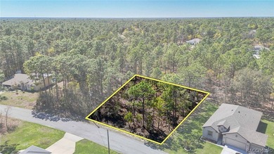 Build your dream home on this beautiful vacant lot in Sugar Mill on Sugarmill Woods Golf and Country Club in Florida - for sale on GolfHomes.com, golf home, golf lot