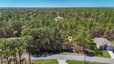 Build your dream home on this beautiful vacant lot in Sugar Mill on Sugarmill Woods Golf and Country Club in Florida - for sale on GolfHomes.com, golf home, golf lot