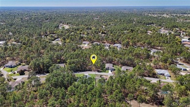Build your dream home on this beautiful vacant lot in Sugar Mill on Sugarmill Woods Golf and Country Club in Florida - for sale on GolfHomes.com, golf home, golf lot