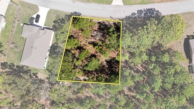 Build your dream home on this beautiful vacant lot in Sugar Mill on Sugarmill Woods Golf and Country Club in Florida - for sale on GolfHomes.com, golf home, golf lot
