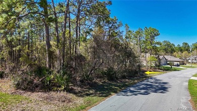 Build your dream home on this beautiful vacant lot in Sugar Mill on Sugarmill Woods Golf and Country Club in Florida - for sale on GolfHomes.com, golf home, golf lot