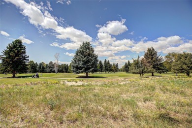 Own your golf course view on Polson Bay Golf Course established on Polson Bay Golf Course - Championship Course in Montana - for sale on GolfHomes.com, golf home, golf lot