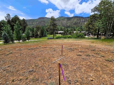 Dru English, Keller Williams Realty Southwest Associates, LLC on The Glacier Club in Colorado - for sale on GolfHomes.com, golf home, golf lot