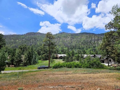 Dru English, Keller Williams Realty Southwest Associates, LLC on The Glacier Club in Colorado - for sale on GolfHomes.com, golf home, golf lot