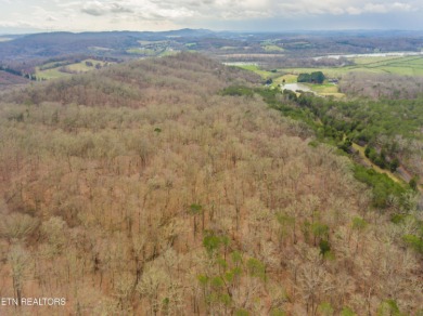 80 acres with possibilities galore! Beautiful building on River Islands Golf Club in Tennessee - for sale on GolfHomes.com, golf home, golf lot