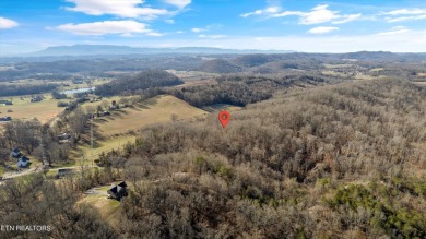 75 acres with possibilities galore! Beautiful building on River Islands Golf Club in Tennessee - for sale on GolfHomes.com, golf home, golf lot