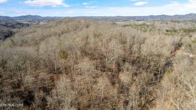 75 acres with possibilities galore! Beautiful building on River Islands Golf Club in Tennessee - for sale on GolfHomes.com, golf home, golf lot