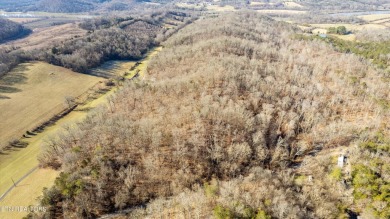 80 acres with possibilities galore! Beautiful building on River Islands Golf Club in Tennessee - for sale on GolfHomes.com, golf home, golf lot