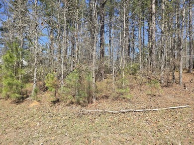 Great lot for building your dream home! The lot backs to a pond on Mount Vintage Plantation and Golf Club  in South Carolina - for sale on GolfHomes.com, golf home, golf lot