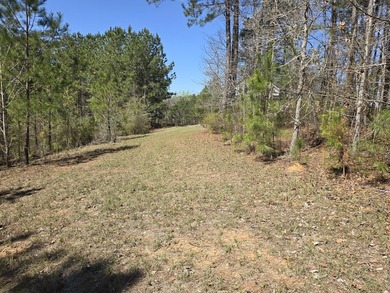 Great lot for building your dream home! The lot backs to a pond on Mount Vintage Plantation and Golf Club  in South Carolina - for sale on GolfHomes.com, golf home, golf lot