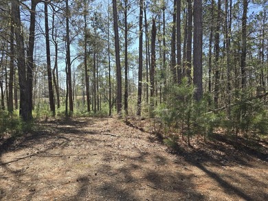 Great lot for building your dream home! The lot backs to a pond on Mount Vintage Plantation and Golf Club  in South Carolina - for sale on GolfHomes.com, golf home, golf lot