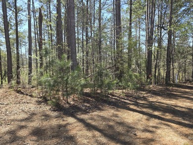 Great lot for building your dream home! The lot backs to a pond on Mount Vintage Plantation and Golf Club  in South Carolina - for sale on GolfHomes.com, golf home, golf lot