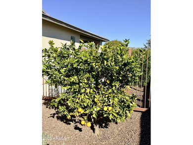 Seller Financing Available for two years with 30% Down at 4% on Wickenburg Ranch Golf Course in Arizona - for sale on GolfHomes.com, golf home, golf lot