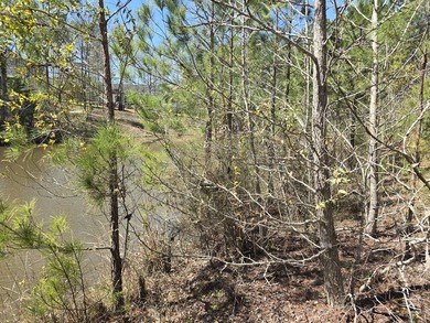 Great lot for building your dream home! The lot backs to a pond on Mount Vintage Plantation and Golf Club  in South Carolina - for sale on GolfHomes.com, golf home, golf lot