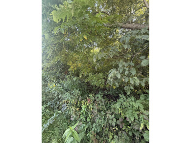 Upsloping, wooded lot on Glen Hollow, just east of Creekwood on Eagle Ridge Inn and Resort in Illinois - for sale on GolfHomes.com, golf home, golf lot