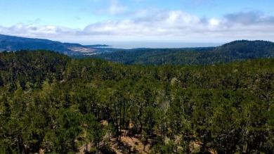 Situated within the gated community of Monterra, this on Tehama Golf Club in California - for sale on GolfHomes.com, golf home, golf lot