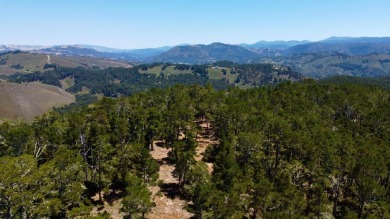 Situated within the gated community of Monterra, this on Tehama Golf Club in California - for sale on GolfHomes.com, golf home, golf lot