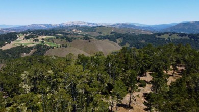 Situated within the gated community of Monterra, this on Tehama Golf Club in California - for sale on GolfHomes.com, golf home, golf lot
