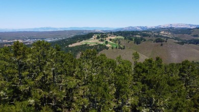 Situated within the gated community of Monterra, this on Tehama Golf Club in California - for sale on GolfHomes.com, golf home, golf lot