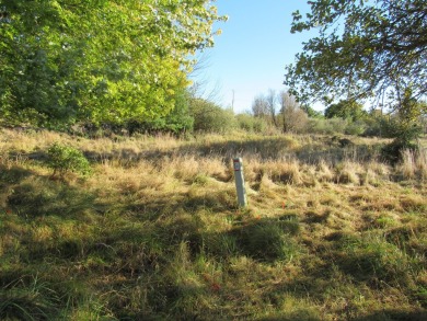 This buildable lot offers incredible views that are sure to on Manistee Golf and Country Club in Michigan - for sale on GolfHomes.com, golf home, golf lot