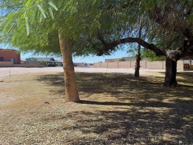 Build your dream home on this spacious vacant lot located on a on The Links At Coyote Wash in Arizona - for sale on GolfHomes.com, golf home, golf lot