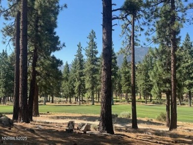 Glorious. More than two acres looking across the course to the on Clear Creek Tahoe in Nevada - for sale on GolfHomes.com, golf home, golf lot