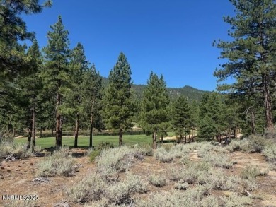 Glorious. More than two acres looking across the course to the on Clear Creek Tahoe in Nevada - for sale on GolfHomes.com, golf home, golf lot