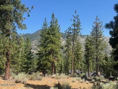 Glorious. More than two acres looking across the course to the on Clear Creek Tahoe in Nevada - for sale on GolfHomes.com, golf home, golf lot