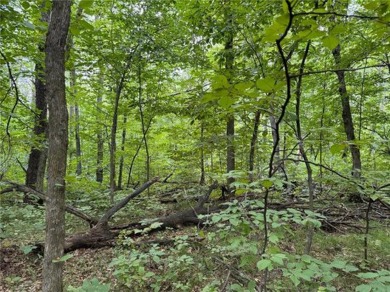 Buildable wooded lot in a neighborhood of newer homes. Lot has a on Deacons Lodge Golf Course in Minnesota - for sale on GolfHomes.com, golf home, golf lot