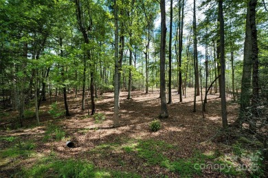 Discover a rare opportunity to build your dream home in the on Biltmore Forest Country Club in North Carolina - for sale on GolfHomes.com, golf home, golf lot
