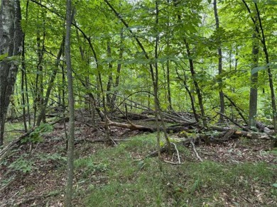 Buildable wooded lot in a neighborhood of newer homes. Lot has a on Deacons Lodge Golf Course in Minnesota - for sale on GolfHomes.com, golf home, golf lot