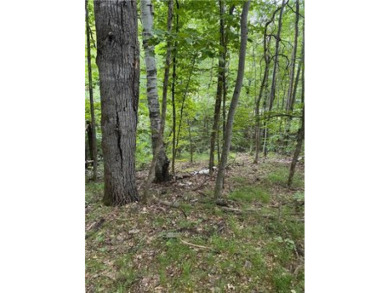 Buildable wooded lot in a neighborhood of newer homes. Lot has a on Deacons Lodge Golf Course in Minnesota - for sale on GolfHomes.com, golf home, golf lot