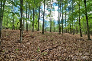 Discover a rare opportunity to build your dream home in the on Biltmore Forest Country Club in North Carolina - for sale on GolfHomes.com, golf home, golf lot