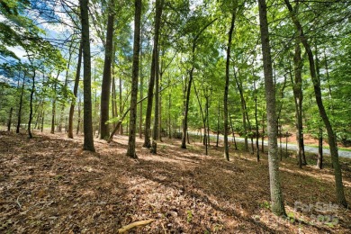 Discover a rare opportunity to build your dream home in the on Biltmore Forest Country Club in North Carolina - for sale on GolfHomes.com, golf home, golf lot