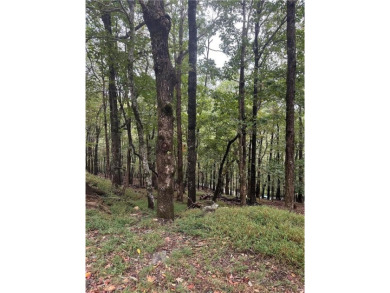 This .96 acre lot slopes gently down and should have a good view on Bent Tree Golf Course in Georgia - for sale on GolfHomes.com, golf home, golf lot