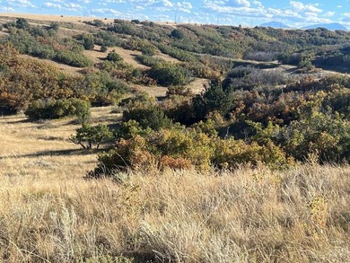 Discover your slice of Colorado paradise on this 1+ acre lot in on Hollydot Golf Course in Colorado - for sale on GolfHomes.com, golf home, golf lot