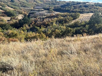 Discover your slice of Colorado paradise on this 1+ acre lot in on Hollydot Golf Course in Colorado - for sale on GolfHomes.com, golf home, golf lot