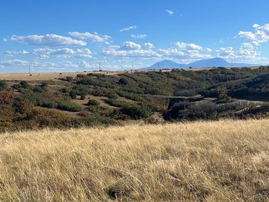 Discover your slice of Colorado paradise on this 1+ acre lot in on Hollydot Golf Course in Colorado - for sale on GolfHomes.com, golf home, golf lot