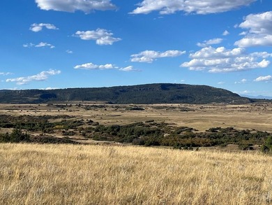 Discover your slice of Colorado paradise on this 1+ acre lot in on Hollydot Golf Course in Colorado - for sale on GolfHomes.com, golf home, golf lot