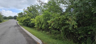 Build your dream home or invest in this scenic 0.5-acre lot in on Woodlake Golf Club in Tennessee - for sale on GolfHomes.com, golf home, golf lot