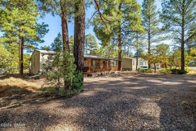 Nestled in Show Low's charming Fairway Park, this inviting on Bison Golf and Country Club in Arizona - for sale on GolfHomes.com, golf home, golf lot