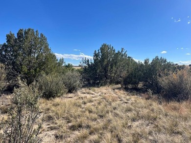 Discover your slice of Colorado paradise on this 1+ acre lot in on Hollydot Golf Course in Colorado - for sale on GolfHomes.com, golf home, golf lot